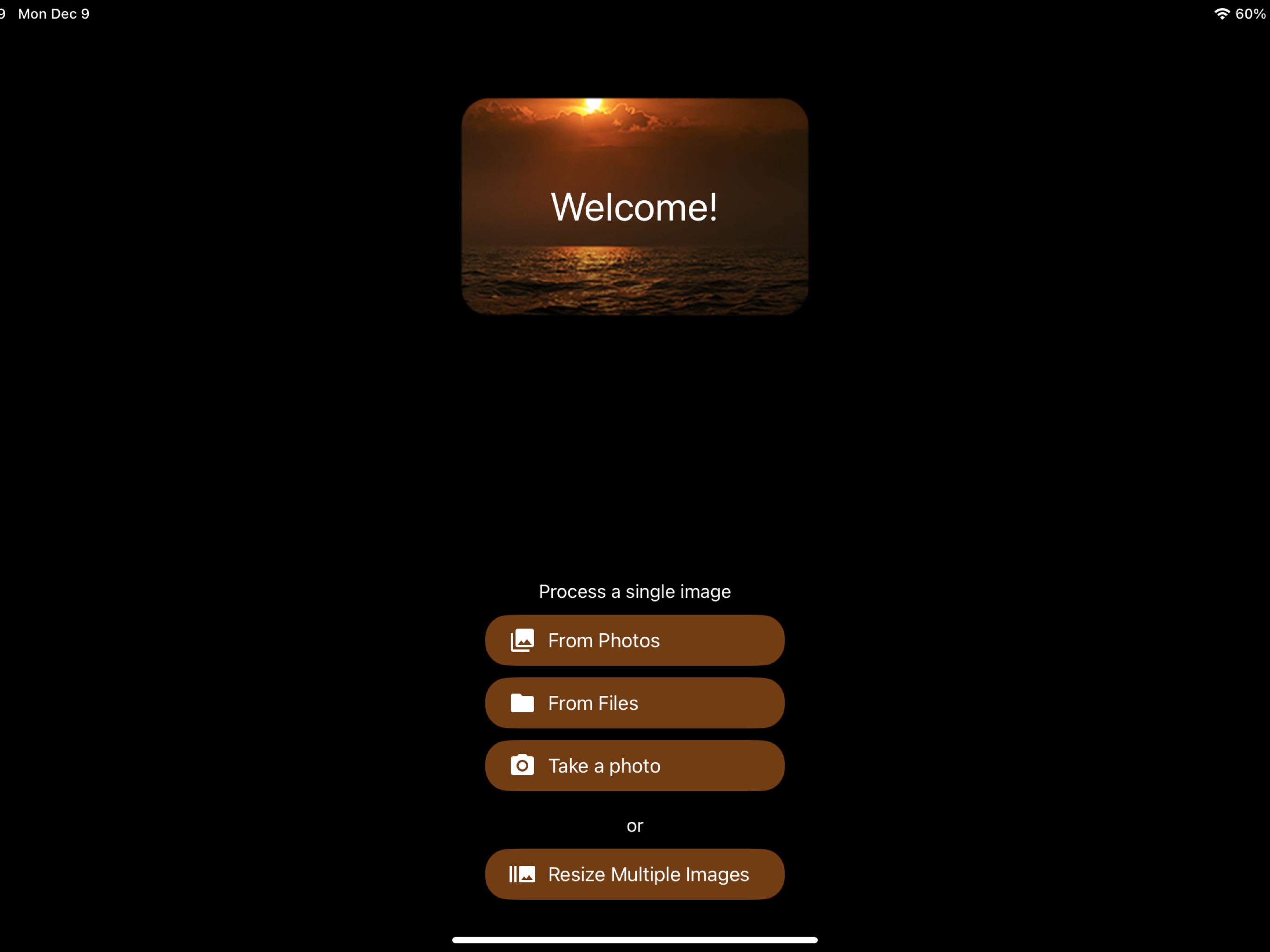 iSize on iPad: home screen with options to process a single image from Photos, Files, or camera, or resize multiple images