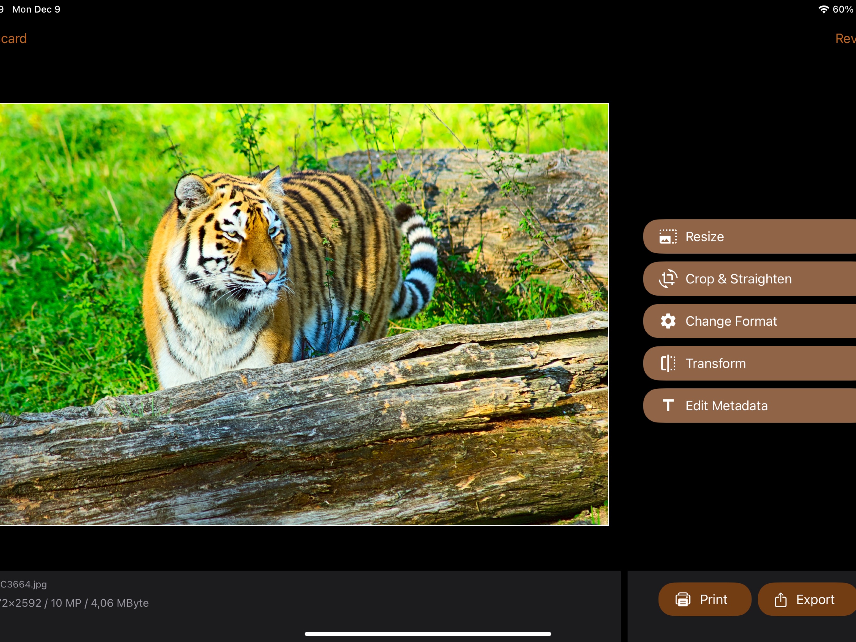 iSize on iPad: single image editor with resize, crop and straighten, change format, transform, and edit metadata actions