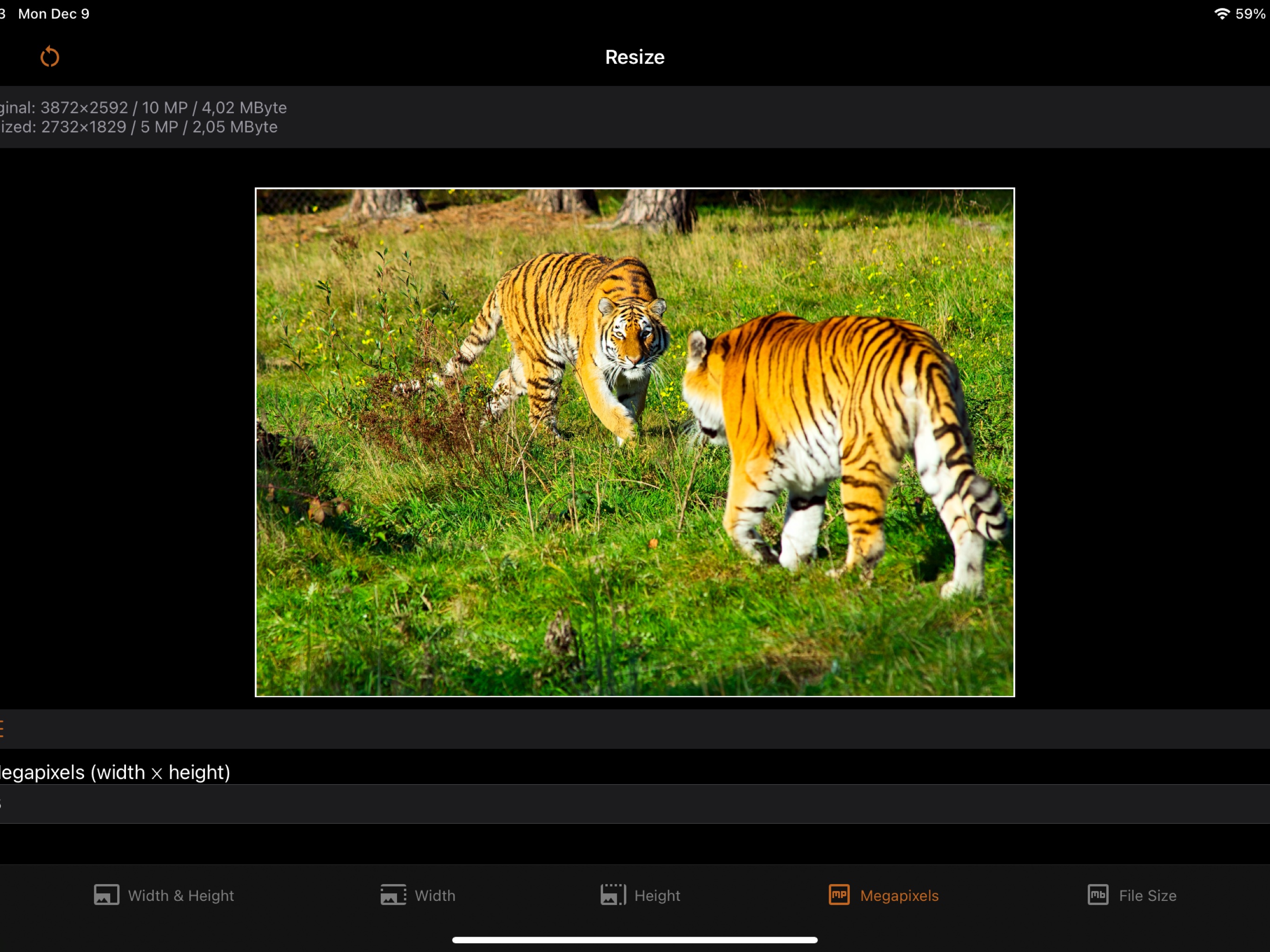 iSize on iPad: resizing a photo to an exact megapixel count