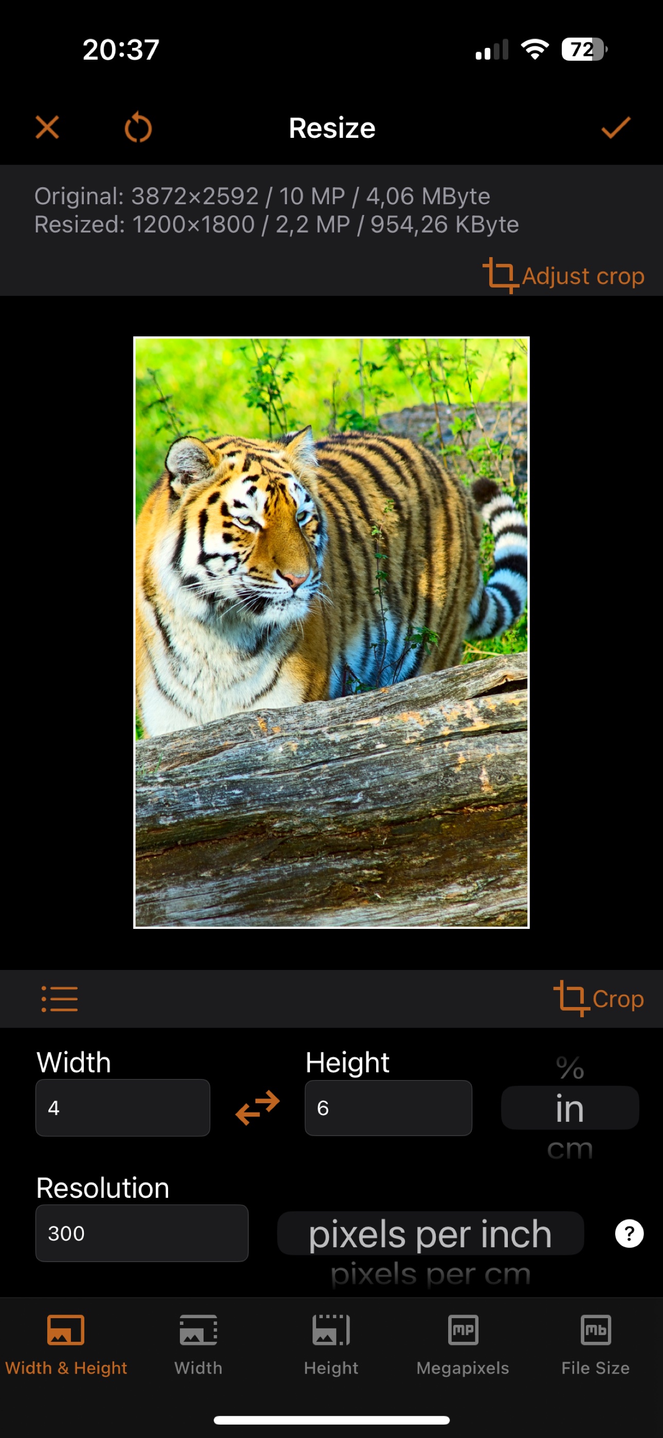 iSize on iPhone: resizing a photo to a 4 x 6 inch print size at 300 pixels per inch